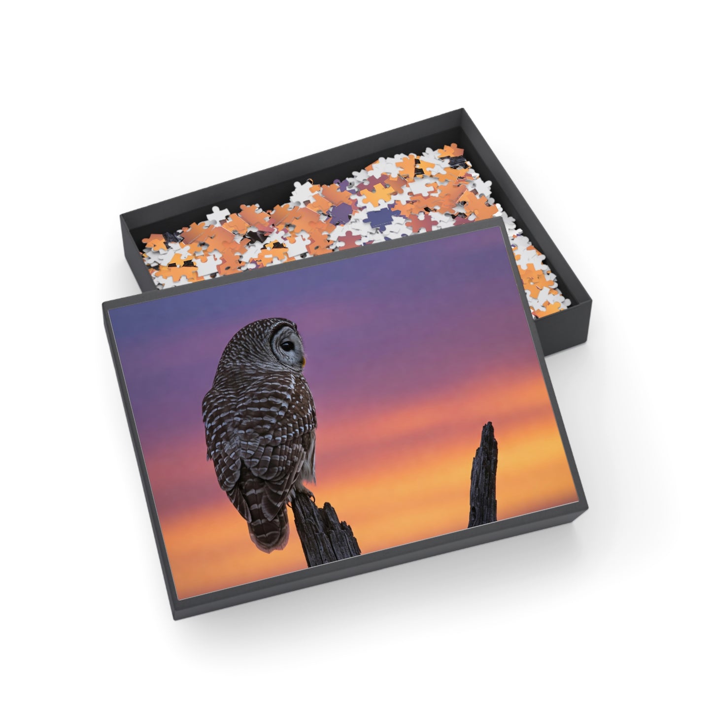 Jigsaw Puzzle - Owl Perched on Tree