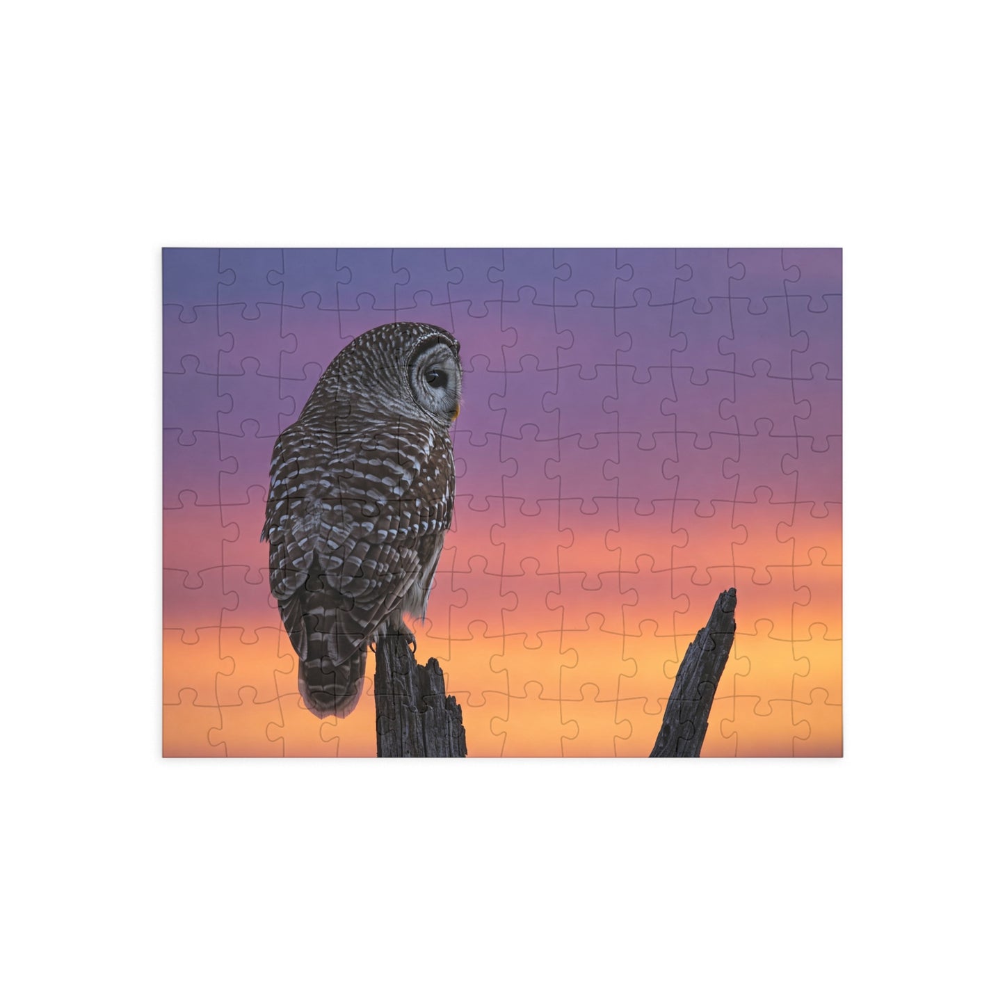 Jigsaw Puzzle - Owl Perched on Tree