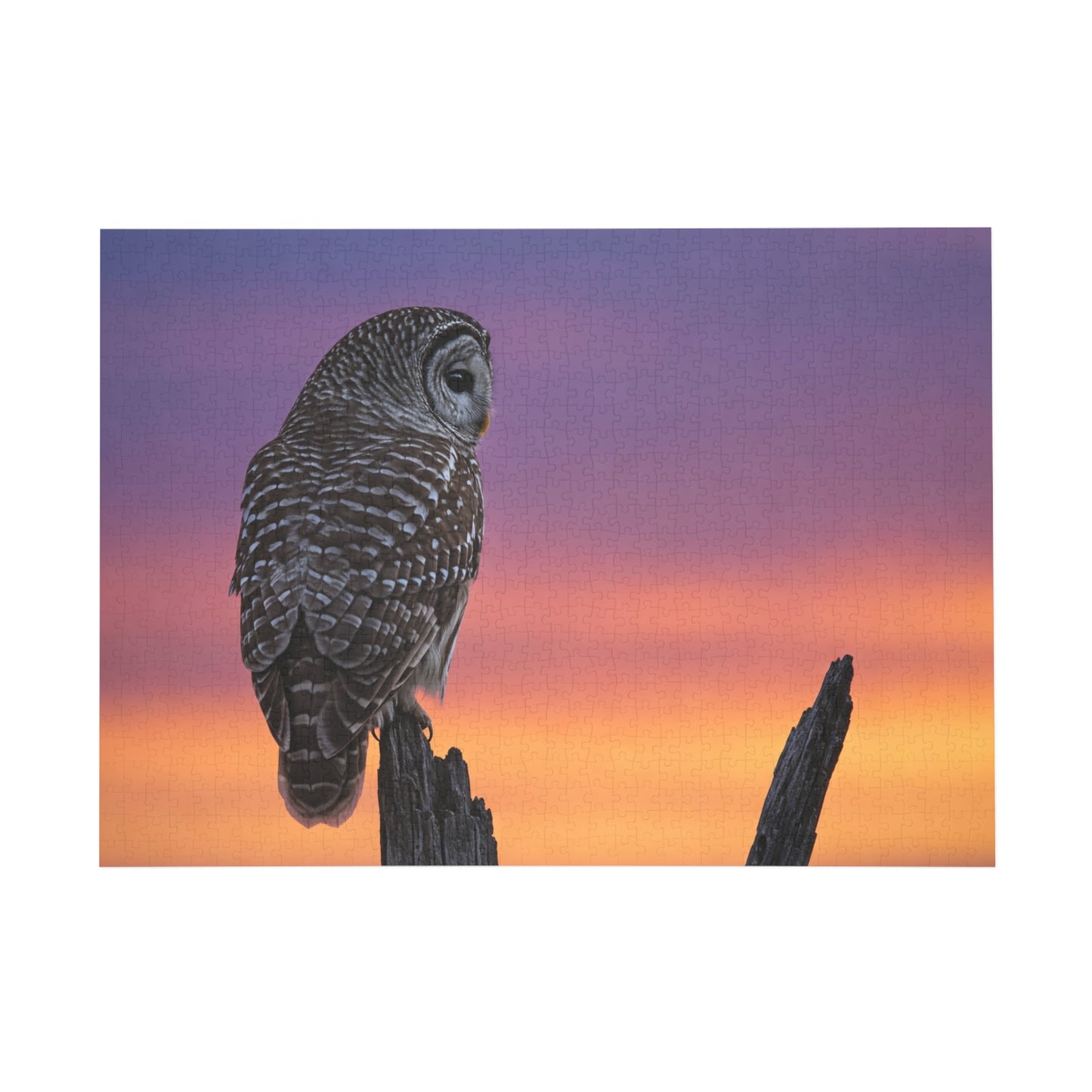 Jigsaw Puzzle - Owl Perched on Tree