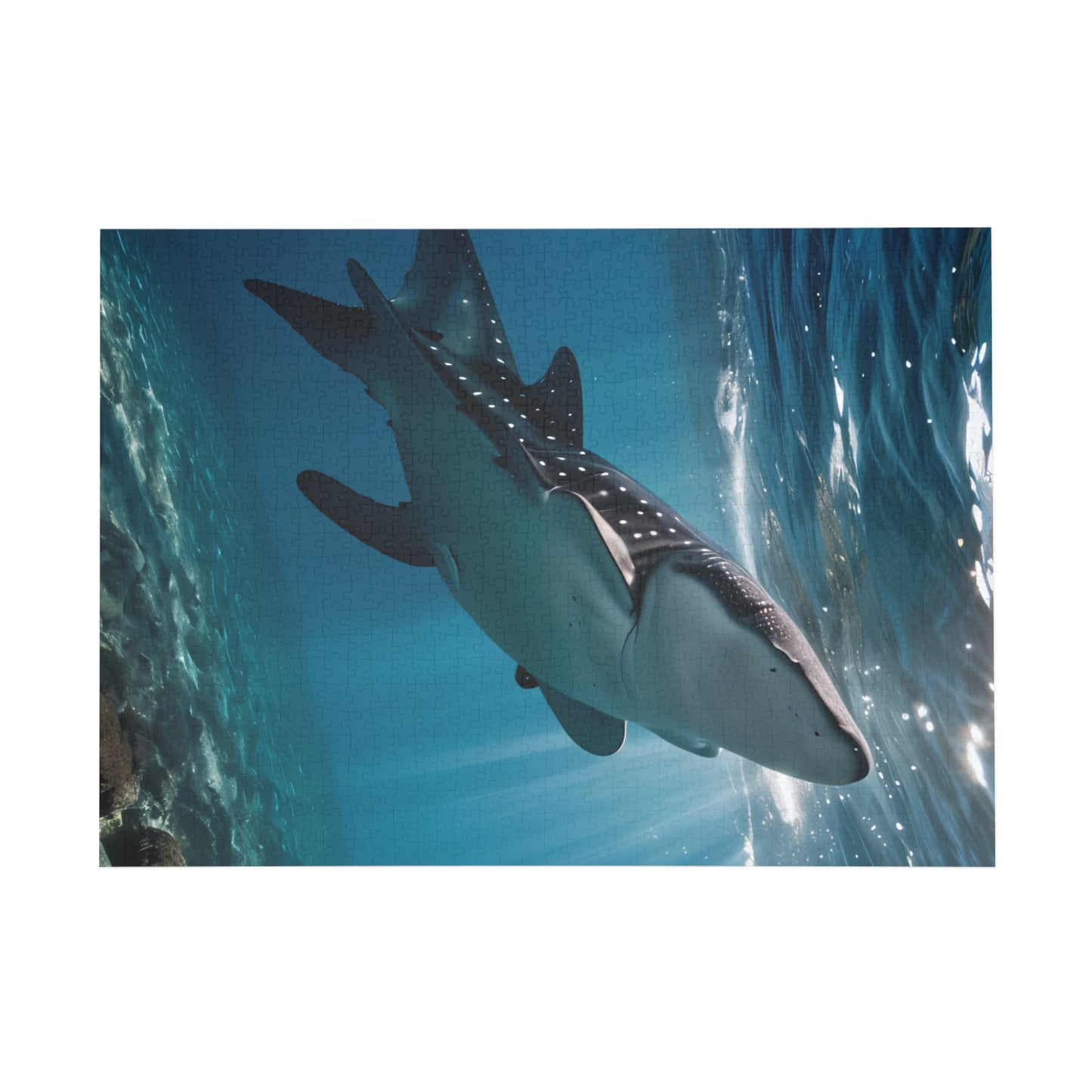 Puzzle - Whale Shark Elegant Swim Jigsaw